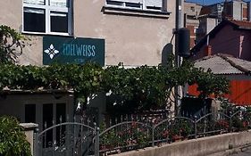 Edelweiss Hostel